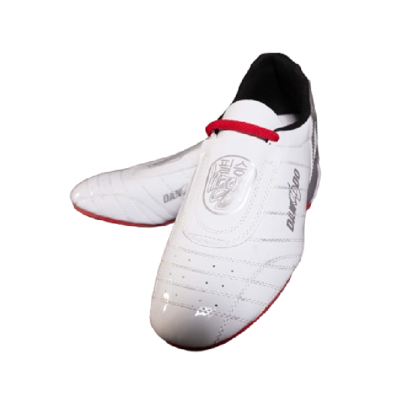 Dando Victory High-Performance Shoes (Special Edition)